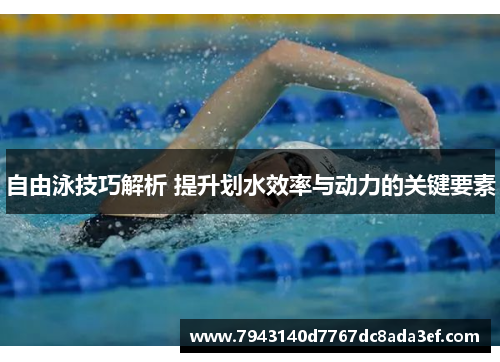自由泳技巧解析 提升划水效率与动力的关键要素